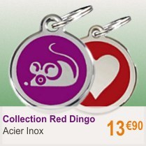 red-dingo